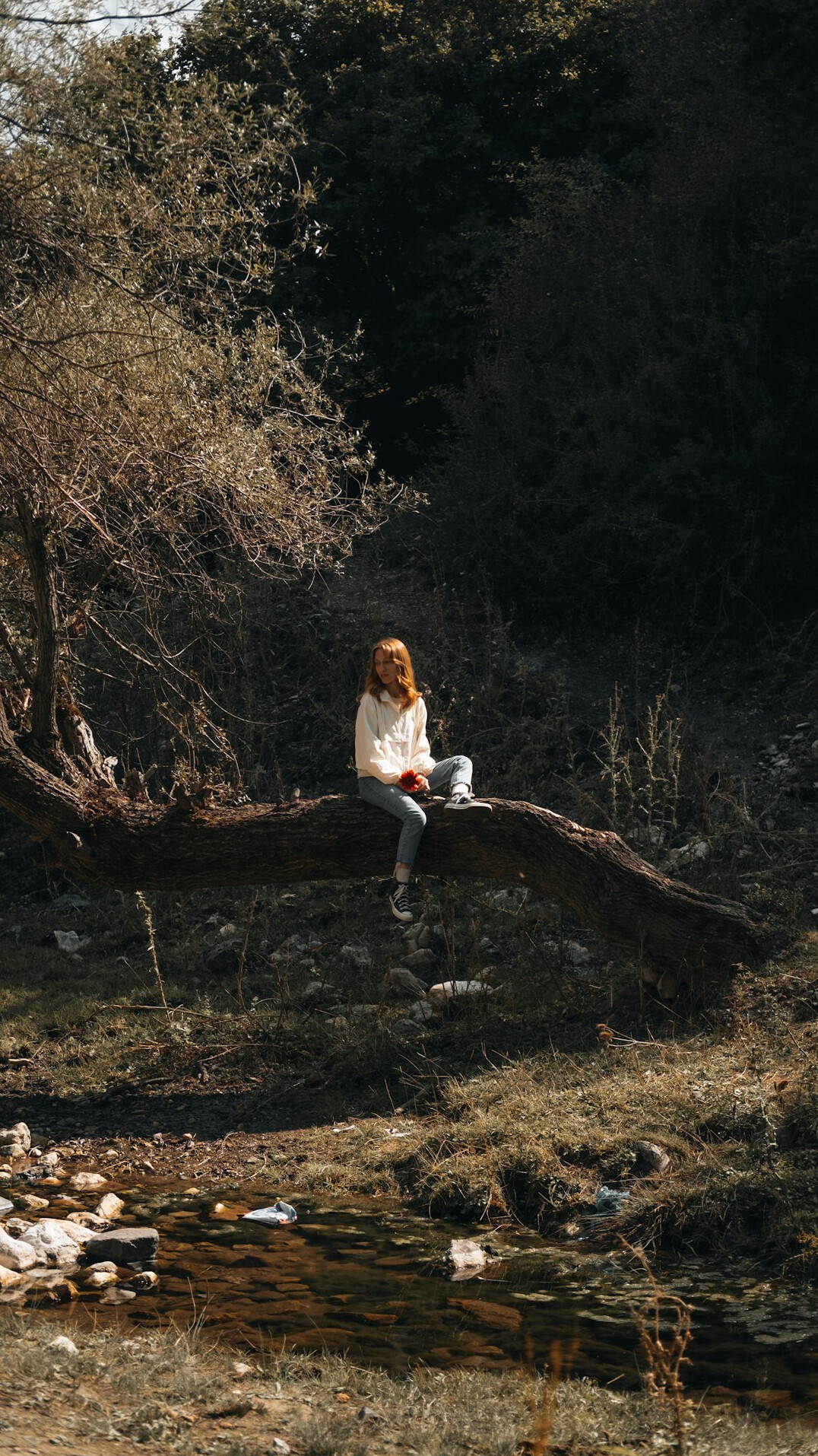 person using laptop in nature