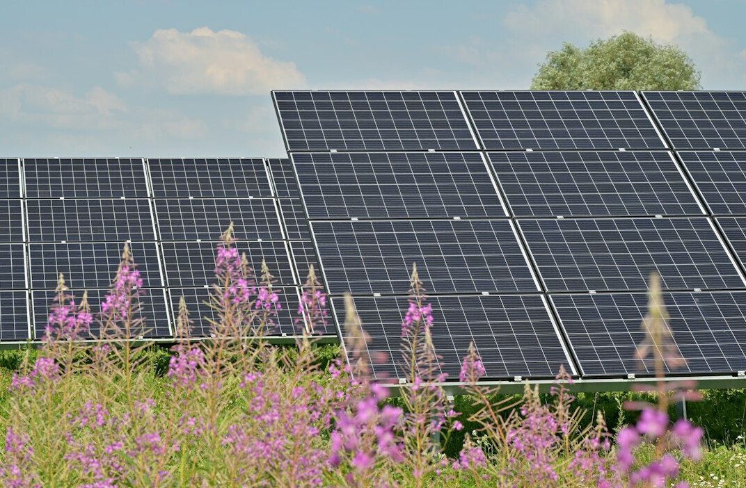 Solar panel farm and wind turbines in rural countryside